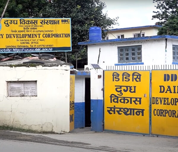 डीडीसी सुधारका लागि सरकारले जारी गर्‍यो&hellip;