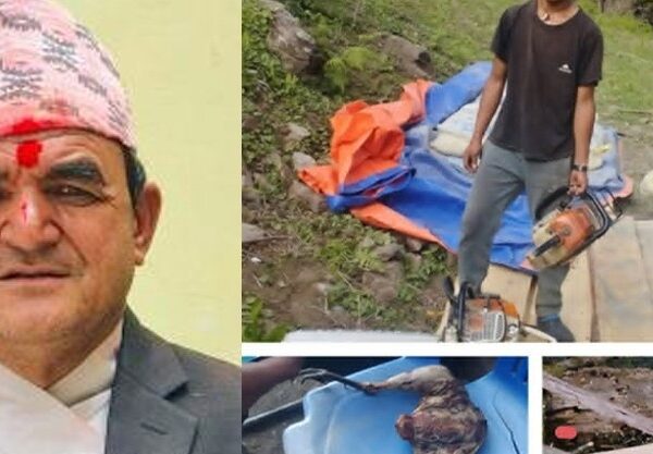 बाजुराको हिमाली गाउँपालिकाका अध्यक्षविरुद्ध हुम्लामा काठ…