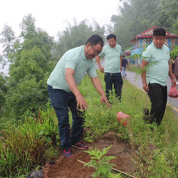 हरियाली नेपालको यात्रामा ‘सगरमाथा वृक्षारोपण महाअभियान’&hellip;