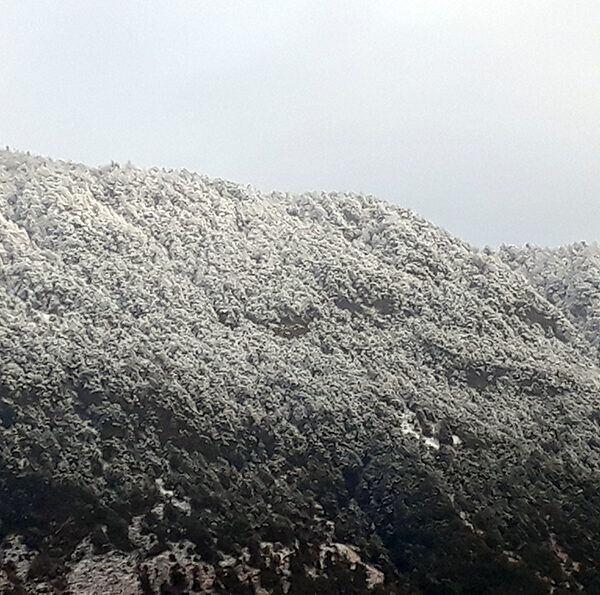 आजको मौसम : हिमाली र पहाडी…