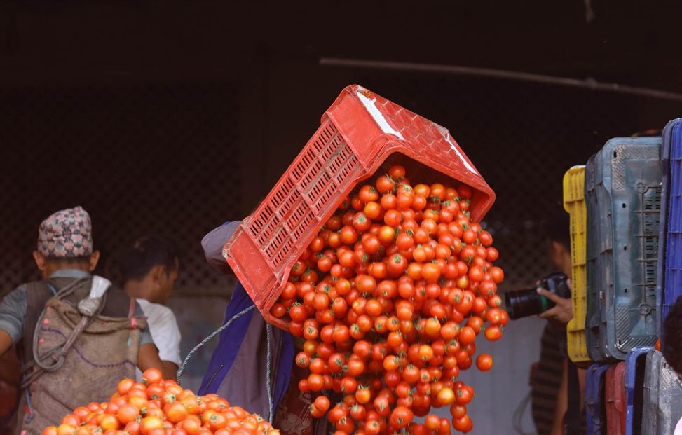 गोलभेँडाको मूल्य बढ्यो, प्रतिकिलो कति ?