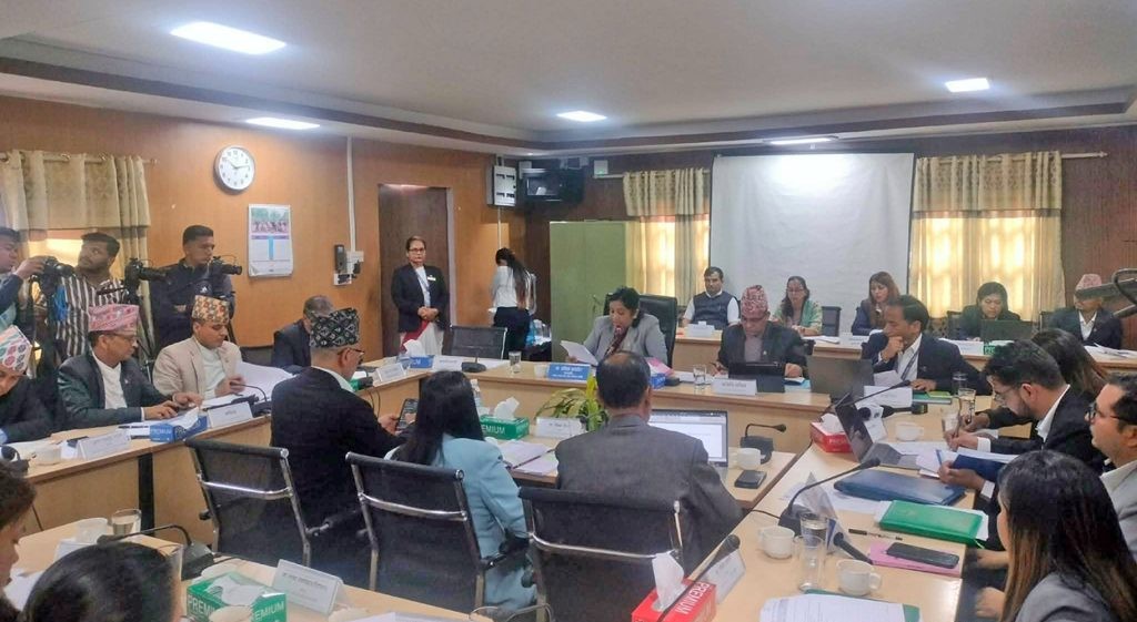 नेपालमा ६० हजार एनजीओ र २५० आईएनजीओ