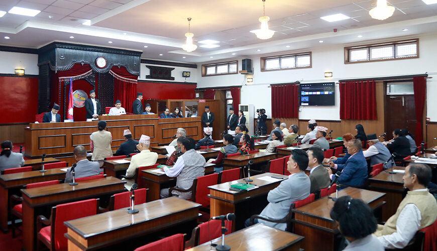 गरिमा हत्याबारे सांसदहरूले मागे सरकारको जवाफ