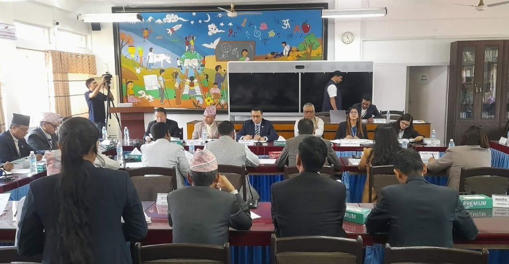 आन्दोलनमा जलेका स्रेस्ता पुनर्स्थापित गर्न महालेखा र सरोकारवालाले दिए यी सुझाव